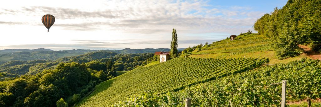 Qu Est Ce Que La Promesse De Bail Rural Guide Complet