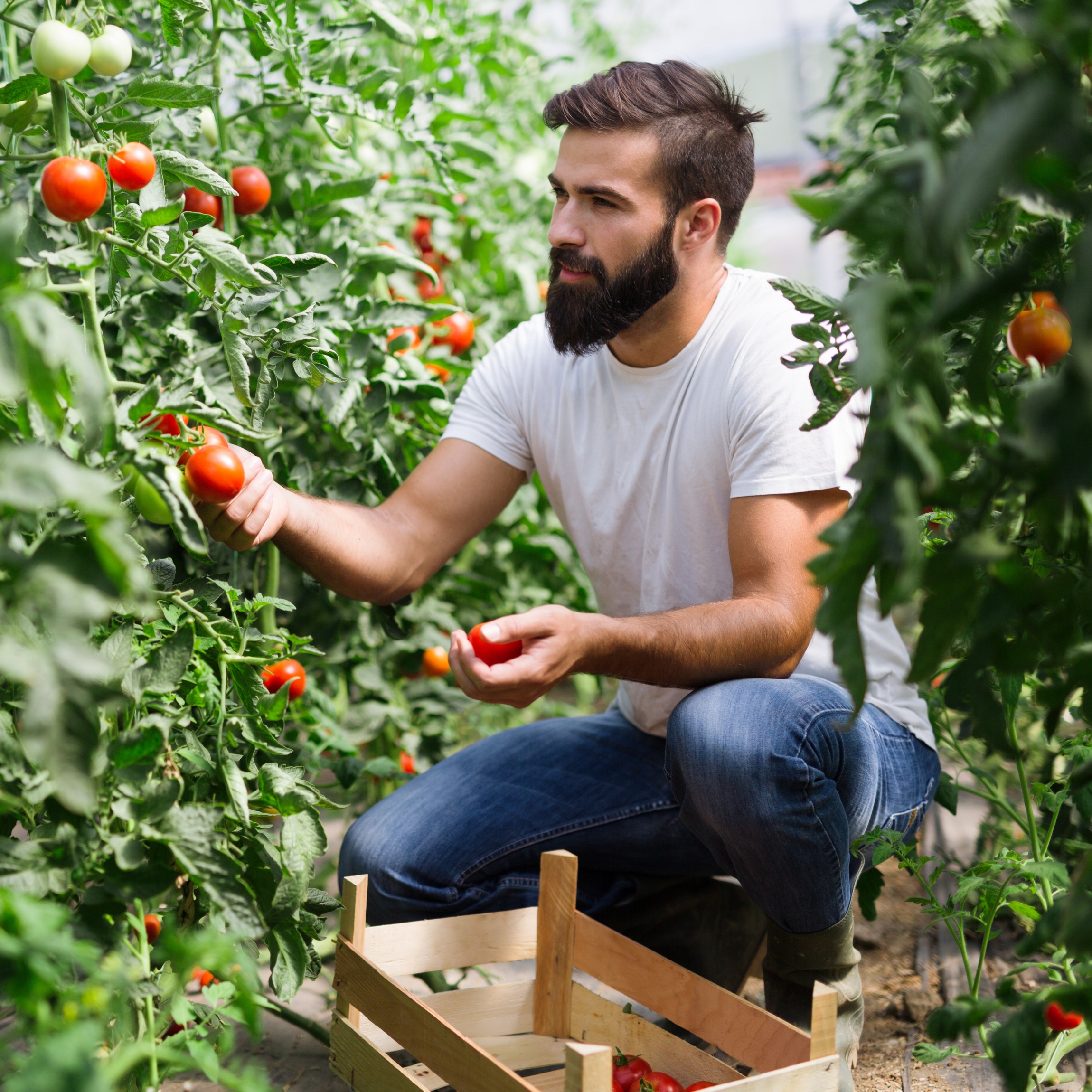 Contrat De Prestation De Service Agricole Modele Et Guide