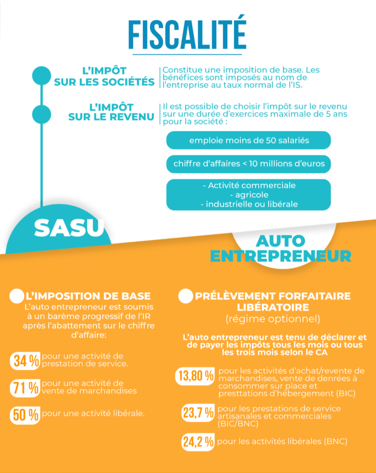 Auto Entrepreneur Ou Sasu Quel Statut Choisir